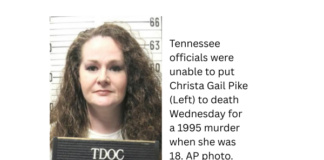 Tennessee governor halts executions after female inmate survives lethal injection attempt