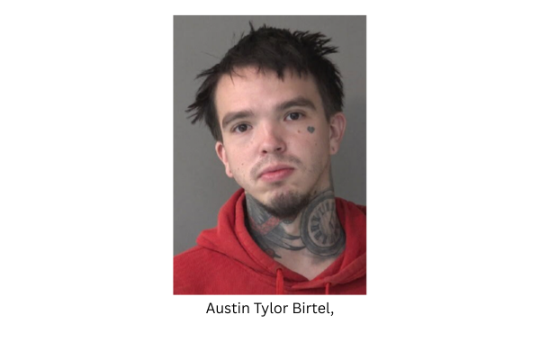1014 molest sky