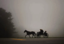 The Amish have historically never voted. That’s changing in Indiana.