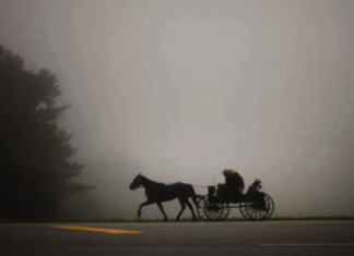 The Amish have historically never voted. That’s changing in Indiana.