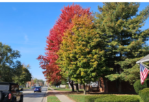 Warm, dry weather will extend through the workweek across the region