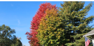 Warm, dry weather will extend through the workweek across the region