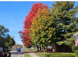 Warm, dry weather will extend through the workweek across the region