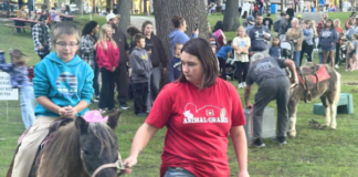 Fall Family Fun fest draws thousands to Lucerne Park in Warsaw