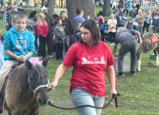 Fall Family Fun fest draws thousands to Lucerne Park in Warsaw
